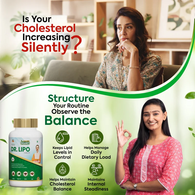 Heart Care Support Combo | Hridya Care Juice + Dr BP + Dr Lipo + Pet Shuddhi Kit | Ayurvedic Cardiovascular Support - Image 6