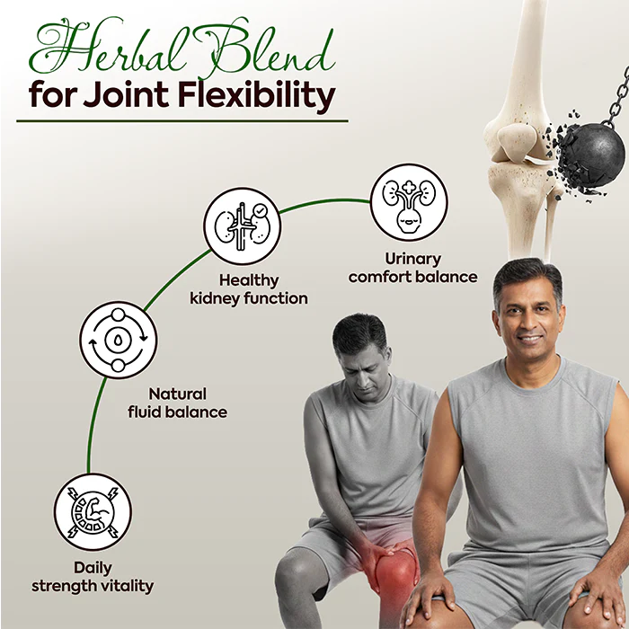 Joint Care Combo | Asthi Care Juice + Go Flexi Capsules + Pet Shuddhi Kit | Ayurvedic Support for Joint Health & Mobility - Image 6