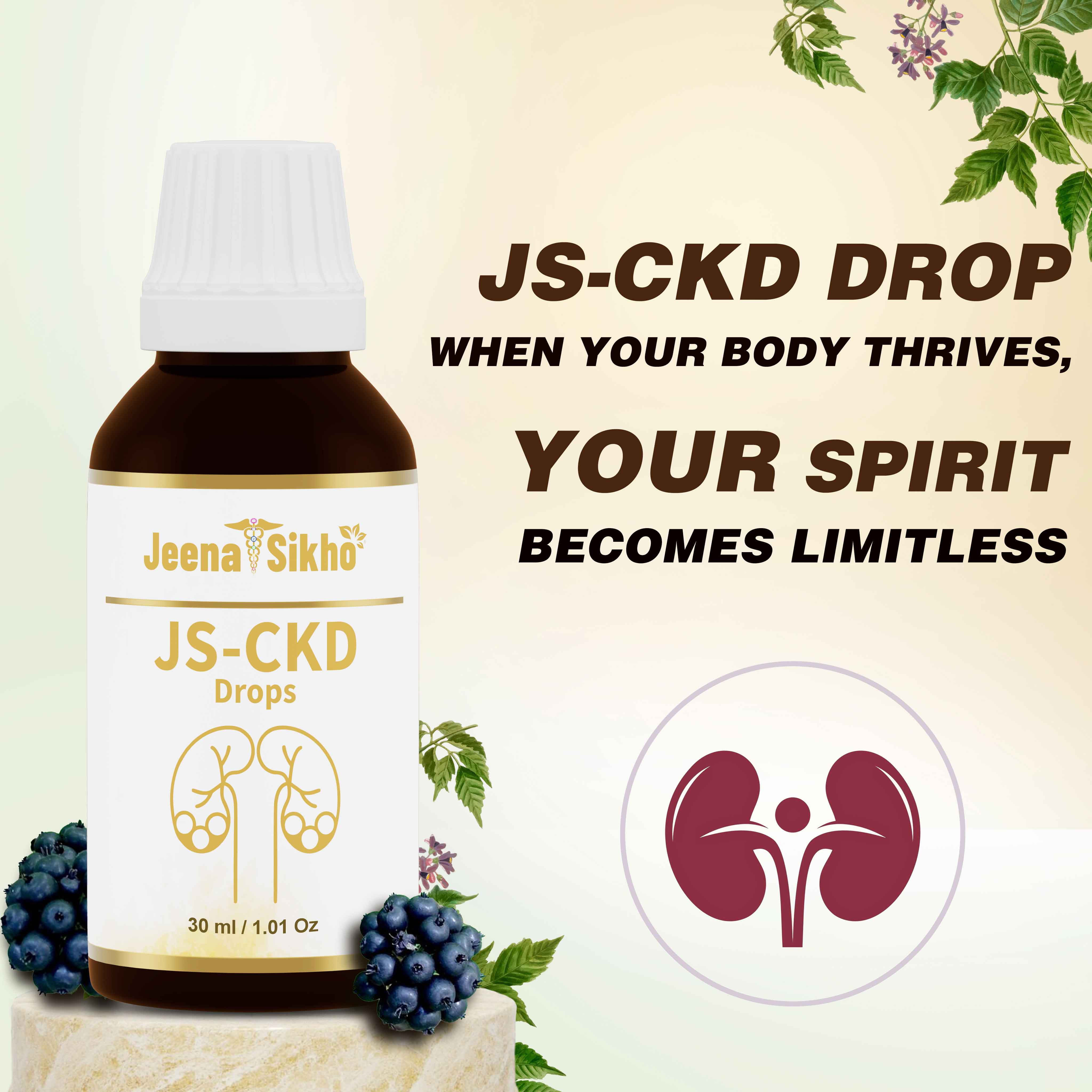 JS-CKD Drops for Kidney Health & Poor Kidney Function - Image 2